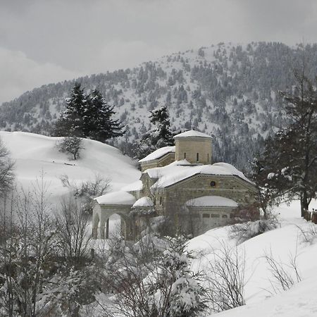 Guesthouse Theodorou Eláti Kültér fotó